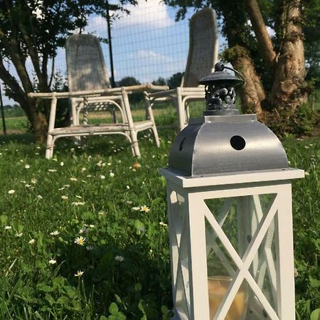 Il "Green " In Giardino Ferrara Dış mekan fotoğraf