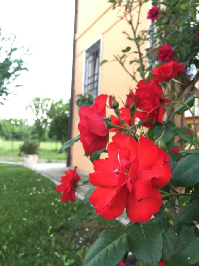 Il "Green " In Giardino Ferrara Dış mekan fotoğraf
