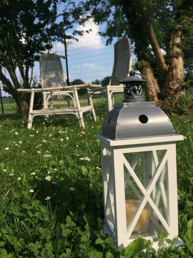 Il "Green " In Giardino Ferrara Dış mekan fotoğraf