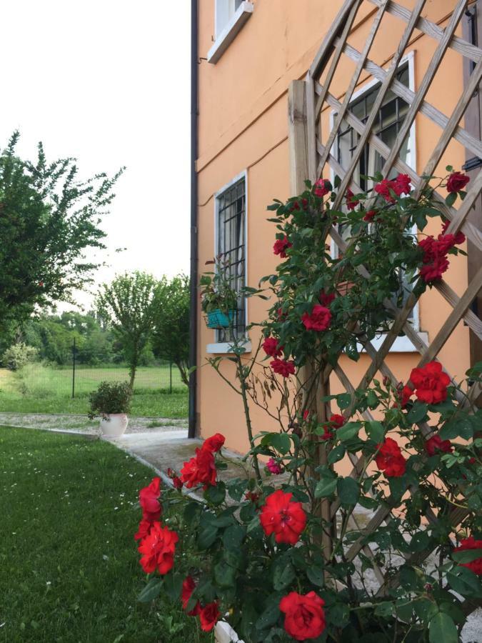 Il "Green " In Giardino Ferrara Dış mekan fotoğraf